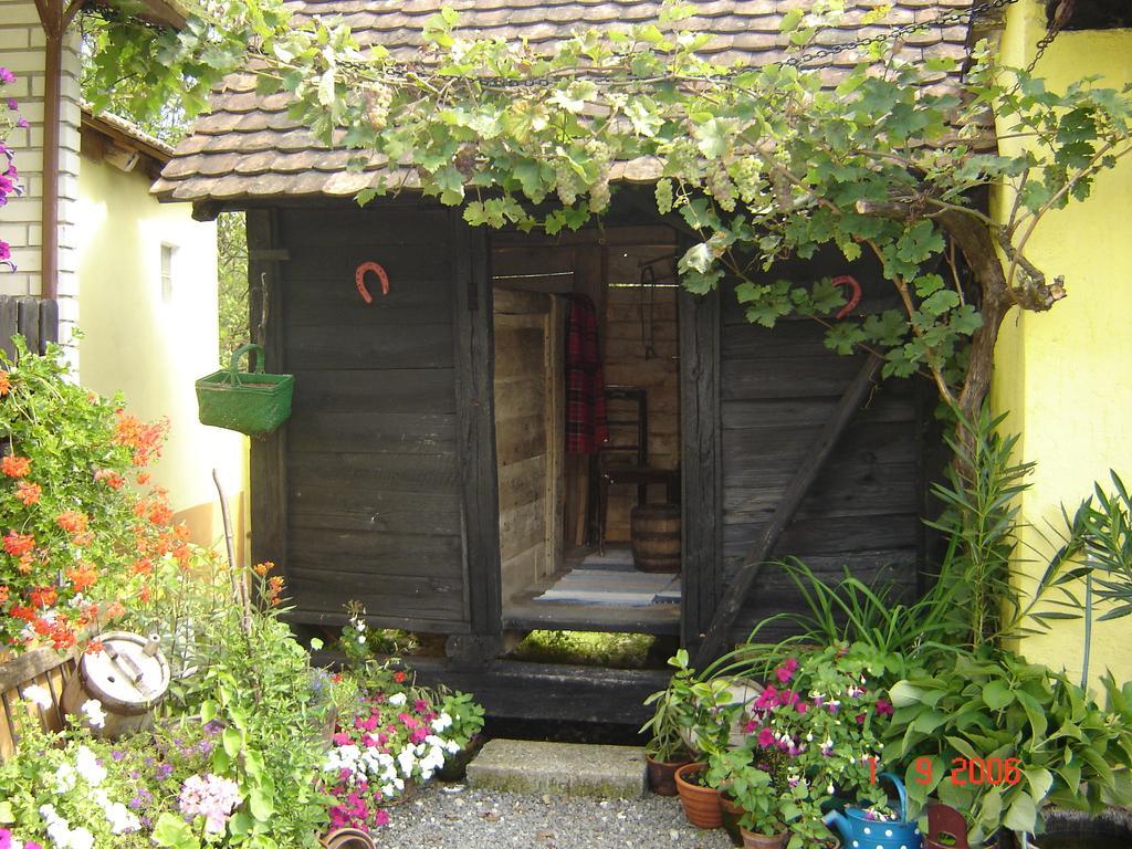 Country House Stara Kapela Nova Kapela Exterior photo
